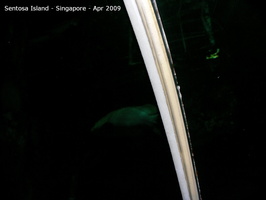 20090422 Singapore-Sentosa Island  35 of 97 